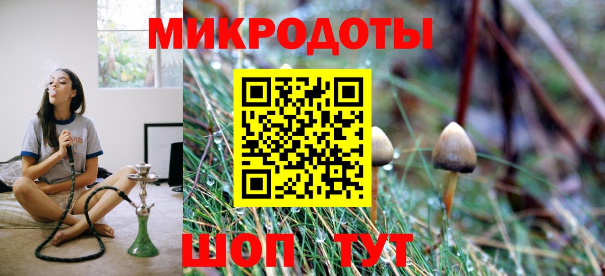 Псилоцибиновые грибы Cubensis Нягань